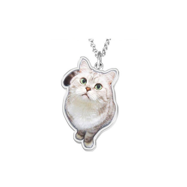 Picture of Photo Necklace Perfect Gift Necklace Platinum Plated Silver