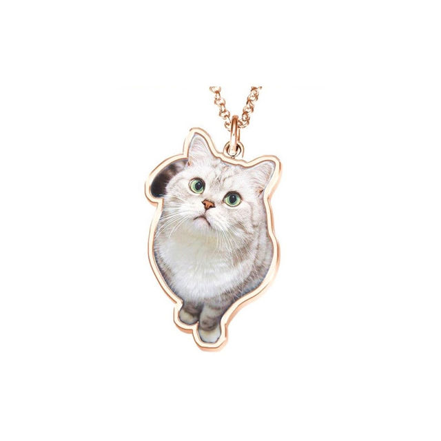Picture of Photo Necklace Perfect Gift Necklace Platinum Plated Silver