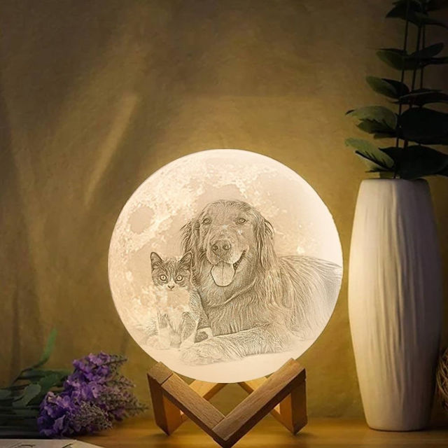 Picture of Magic 3D Personalized Photo Moon Lamp with Touch Control for Pets (10cm-20cm)