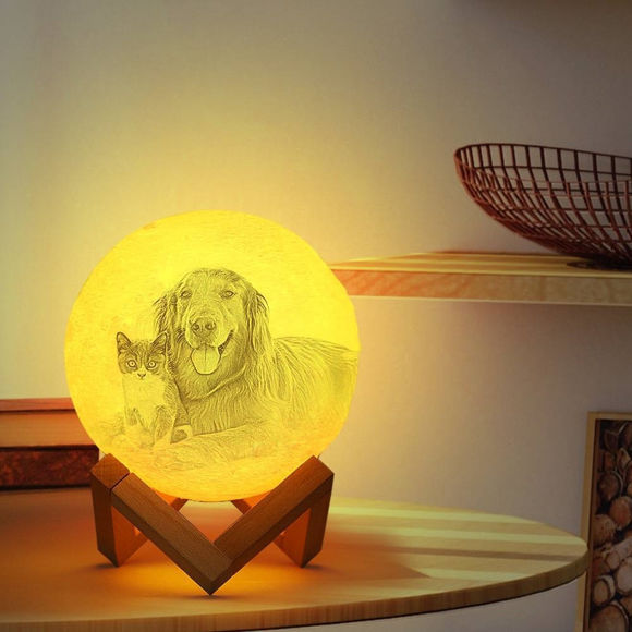 Imagen de Lámpara de luna con foto personalizada Magic 3D con control táctil para mascotas (10cm-20cm)