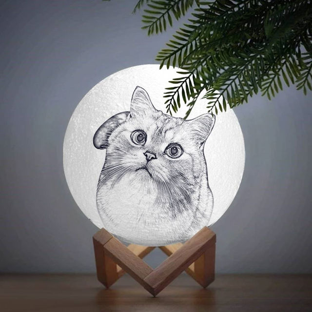 Picture of Magic 3D Personalized Photo Moon Lamp with Touch Control for Lovely Pets (10cm-20cm)