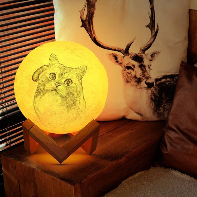 Picture of Magic 3D Personalized Photo Moon Lamp with Touch Control for Lovely Pets (10cm-20cm)