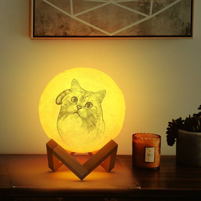 Picture of Magic 3D Personalized Photo Moon Lamp with Touch Control for Lovely Pets (10cm-20cm)