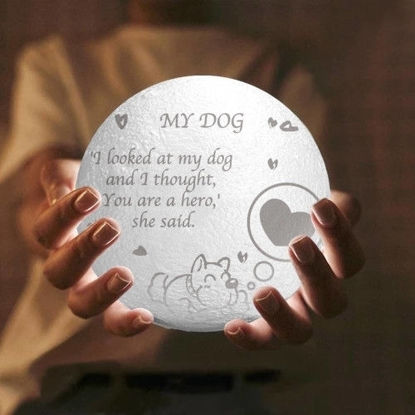 Imagen de Lámpara de luna 3D personalizada con control táctil Estilo lindo para mascotas (10cm-20cm)