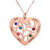 Imagen de Collar con nombre en forma de corazón y árbol de nacimiento en plata de ley 925