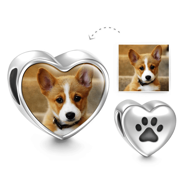 Picture of Paw Print Heart Photo Pet Charm in 925 Sterling Silver