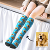 Image de Chaussettes hautes personnalisées multicolores avec un joli chien
