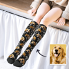 Imagen de Calcetines altos personalizados multicolor con perro encantador
