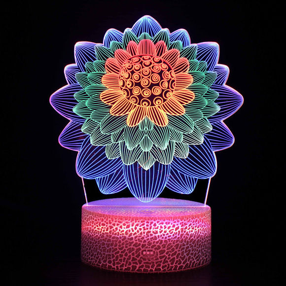 Imagen de Luces de noche LED de ilusión 3D de colores en varias formas: los mejores regalos para niños
