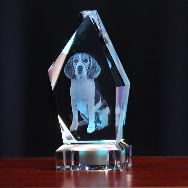 Picture of 3D Laser Crystal Gift in Iceberg