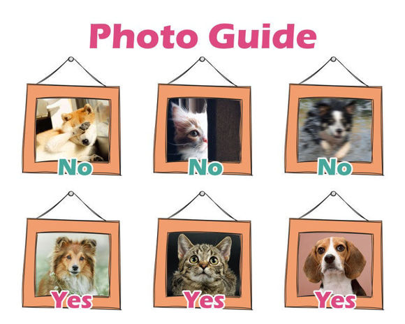Bild von Benutzerdefiniertes Gesichtskissen | Personalisiertes Haustier-Kissen | Haustier-Wurfs-Kissen | Hunde-oder Katzen-Foto-Wurfs-Kissen Zierkissen | Kundenspezifisches Gesicht auf Kissenbezug