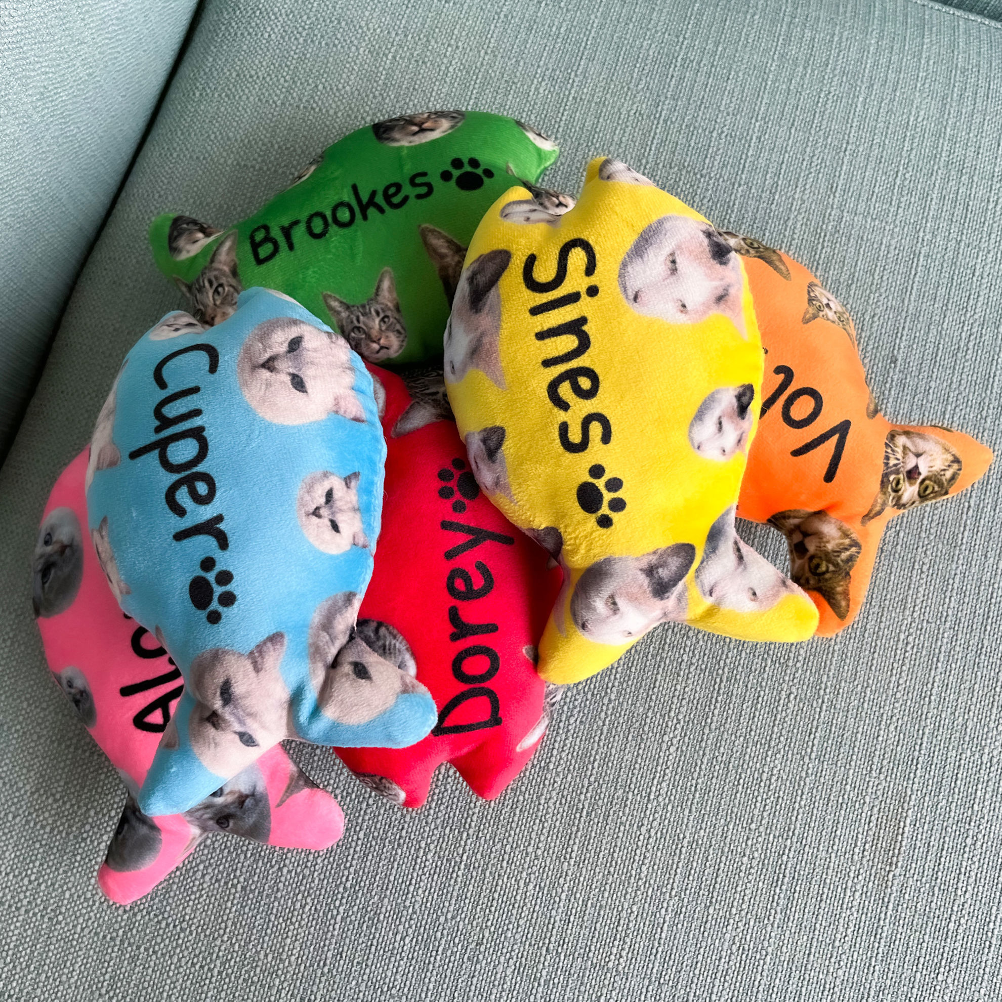 Personalized Cat Fish Bone Toy with Your Pets Face Photo and Name