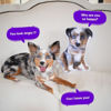 Imagen de Almohada de perro 3D personalizada - Personalice con su mascota - El mejor regalo