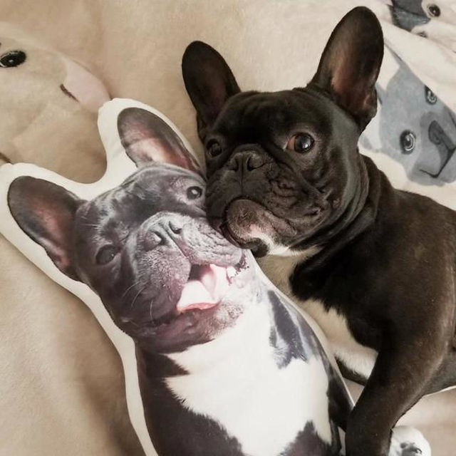 Picture of Custom 3D Dog Pillow - Personalize With Your Lovely Pet