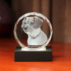 Imagen de Foto personalizada 3D Laser Crystal: esfera con base de luz | Cristal láser fotográfico 3D personalizado | Regalo único para cumpleaños, boda, aniversario.