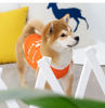 Imagen de Ropa personalizada para mascotas Personalización de múltiples avatares Patrón de impresión de pata de perro