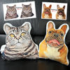 Picture of Custom 3D Cartoon Drawing Pillow - Personalize With Your Lovely Pet -  Personalize With Your Family and Friend