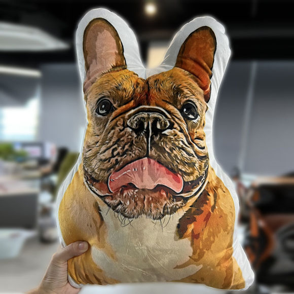 Bild von Benutzerdefiniertes 3D-Cartoon-Zeichnungskissen – personalisieren Sie mit Ihrem schönen Haustier – personalisieren Sie mit Ihrer Familie und Ihrem Freund