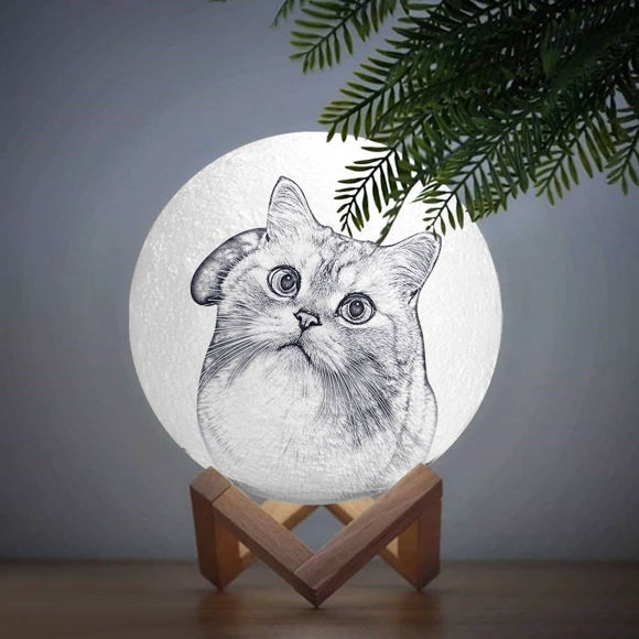 Image de Lampe de lune photo personnalisée Magic 3D avec contrôle tactile pour adorables animaux de compagnie (10 cm-20 cm) | Lampe de lune personnalisée avec photo et texte | Meilleure idée de cadeau pour un anniversaire, Thanksgiving, Noël, etc.