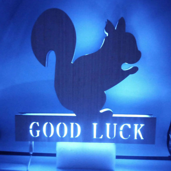 Bild von Personalisiertes Nachtlicht für Wanddekoration – individuell graviertes Namenslicht aus Holz – Eichhörnchen