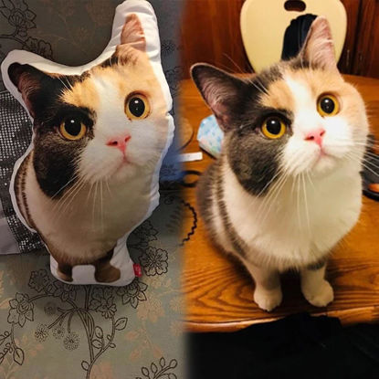 Afbeeldingen van Op maat gemaakt 3D kattenkussen｜Personaliseer met je lieve huisdier｜Beste cadeau-idee voor verjaardag, Thanksgiving, Kerstmis etc.