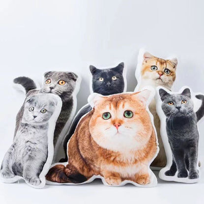 Afbeeldingen van Aangepast kattengezichtskussen voor cadeau ｜ Beste cadeau -idee voor verjaardag, Thanksgiving, Kerstmis etc.