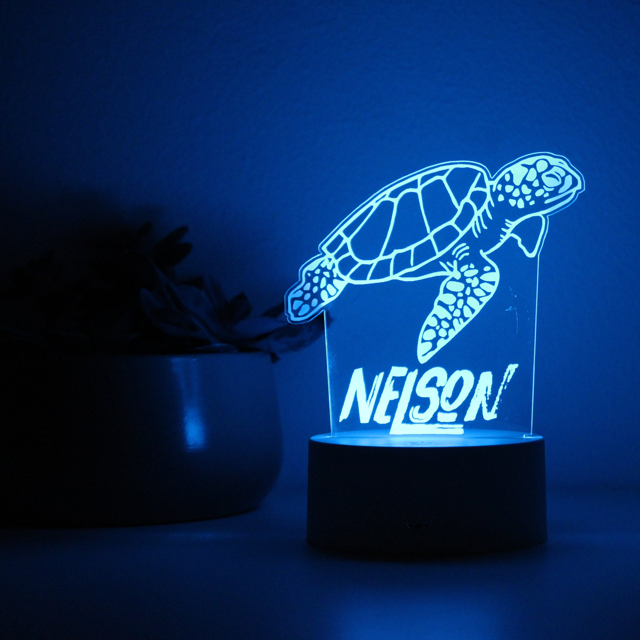 Picture of Custom Name Night Light With Colorful LED Lighting - Multicolor Turtle Night Light With Personalized Name