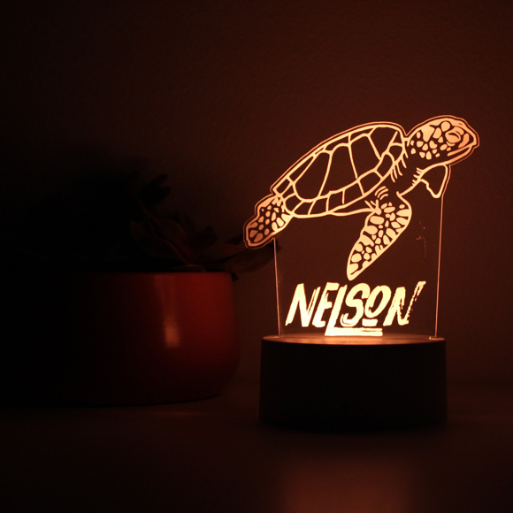 Imagen de Luz de noche con nombre personalizado con iluminación LED de colores - Luz de noche de tortuga multicolor con nombre personalizado