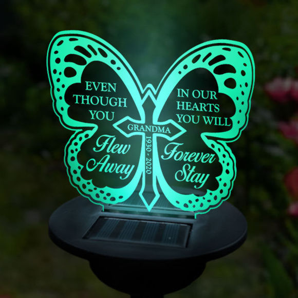 Imagen de Luz de noche solar personalizada - Mariposa tipo D - Luz solar de jardín para monumento