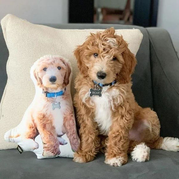 Imagen de Custom 3D Face Pillow - Personalize With Your Favourite Dog