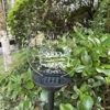 Image de Personalized Solar Night Light | Garden | Customized Garden Solar Light for Memorial