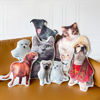 Afbeeldingen van Op maat gemaakt 3D-huisdierkussen｜Personaliseer met uw mooie huisdier｜Beste cadeau-idee voor verjaardag, Thanksgiving, Kerstmis etc.