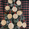 Bild von Personalisierter Namensschmuck mit Cartoon-Muster – personalisierter Weihnachts-Namensschmuck – niedlicher Weihnachtsbaumschmuck – weihnachtliche Heimdekoration – 10er-Pack Bundle-Verkauf
