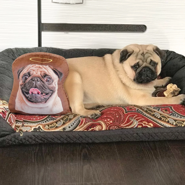 Picture of Custom Pet Pillow/Dog Pillow /Cat Pillow/Dog Photo Pillow/Personalized Pet Pillow/Gifts for Pet Lovers/Best Gifts