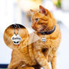Picture of Personalized Tag for Pets With Multiple Shapes & Colors - Customized With Telephone Number - Best Gift for Pet Lovers