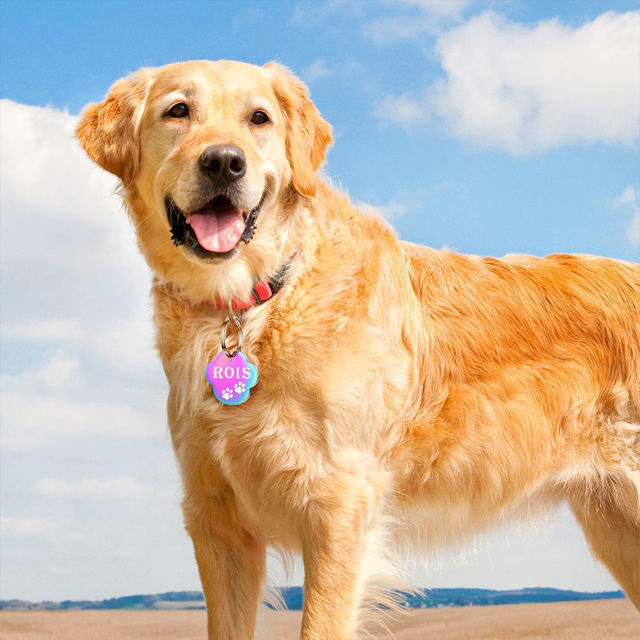 Picture of Personalized Tag for Pets With Multiple Shapes & Colors - Customized With Telephone Number - Best Gift for Pet Lovers