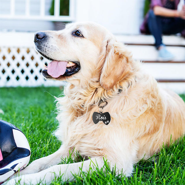 Picture of Personalized Tag for Pets With Multiple Shapes & Colors - Customized With Telephone Number - Best Gift for Pet Lovers
