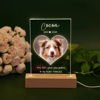 Picture of Personalized Pet Memorial Photo Night Light With Multiple Shapes - Custom Pet Night light -  Heartwarming Gift For Pet Person