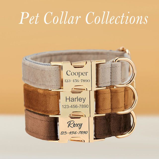 Picture of Personalized Dog Collar Leash Set with Bowtie - Custom Pet Name Plate Metal Buckle - Multiple Color Velvet Pet Collar - Wedding Puppy Gift