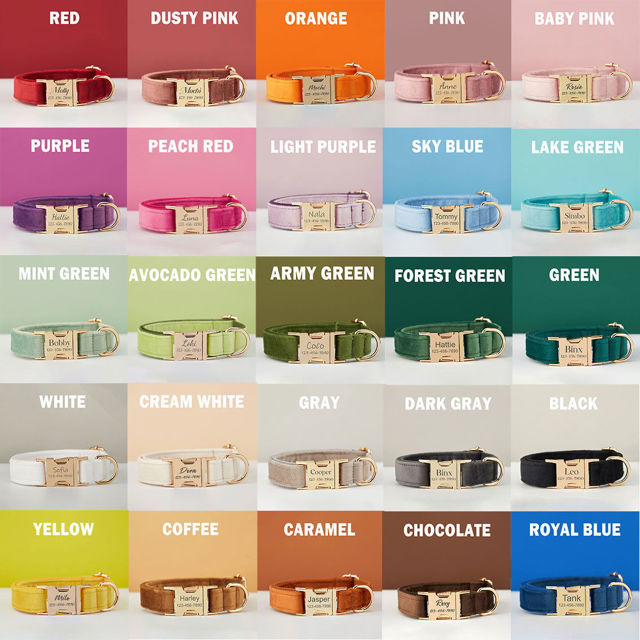 Picture of Personalized Dog Collar Leash Set with Bowtie - Custom Pet Name Plate Metal Buckle - Multiple Color Velvet Pet Collar - Wedding Puppy Gift