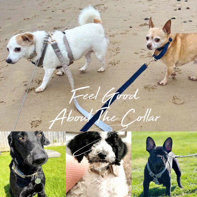 Picture of Personalized Pet Name Collar - Custom Multiple Color Velvet Dog Collar - Engraved Pet Name Tag Metal Buckle - Wedding and Christmas Puppy Gift