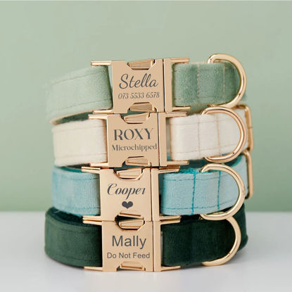 Image de Collier personnalisé avec nom d'animal de compagnie - Collier pour chien en velours multicolore personnalisé - Boucle en métal avec étiquette de nom d'animal de compagnie gravée - Cadeau de mariage et de Noël pour chiot