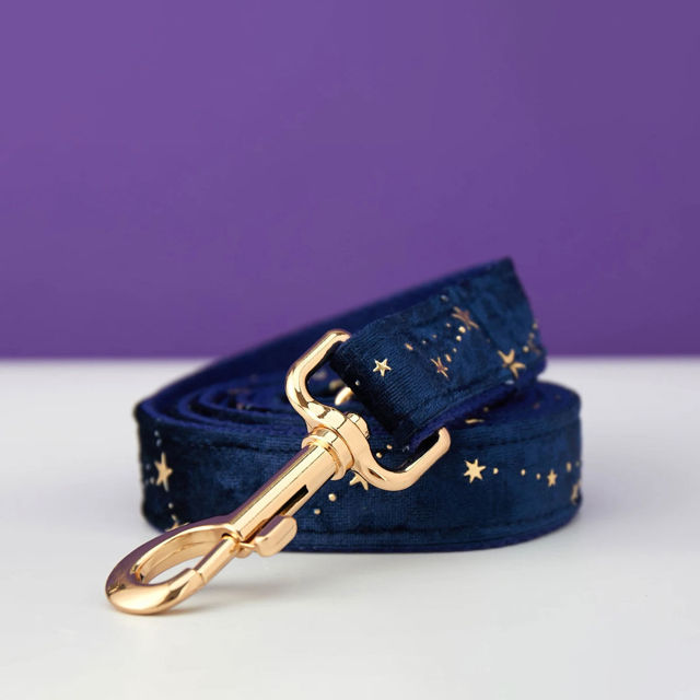 Image de Collier personnalisé avec nom de chien - Collier personnalisé en velours multicolore pour chien - Étiquette gravée avec nom d'animal de compagnie et boucle en métal - Cadeau de mariage et de Noël pour chiot