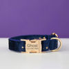 Image de Collier personnalisé avec nom de chien - Collier personnalisé en velours multicolore pour chien - Étiquette gravée avec nom d'animal de compagnie et boucle en métal - Cadeau de mariage et de Noël pour chiot