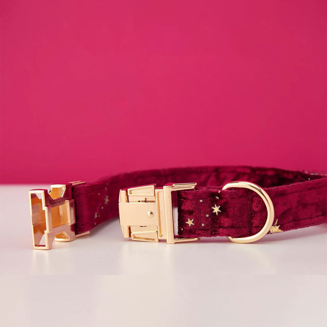 Image de Collier personnalisé avec nom de chien - Collier personnalisé en velours multicolore pour chien - Étiquette gravée avec nom d'animal de compagnie et boucle en métal - Cadeau de mariage et de Noël pour chiot
