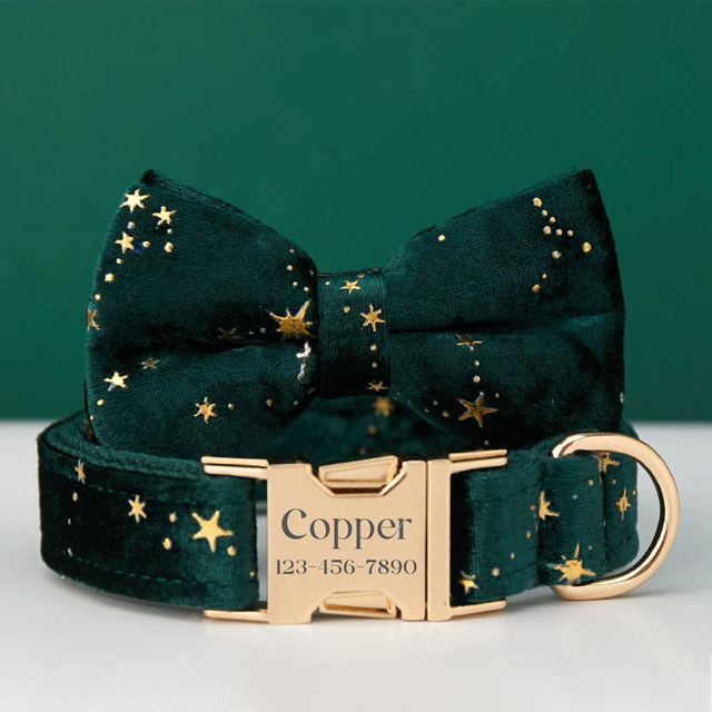 Image de Collier personnalisé avec nom de chien - Collier personnalisé en velours multicolore pour chien - Étiquette gravée avec nom d'animal de compagnie et boucle en métal - Cadeau de mariage et de Noël pour chiot