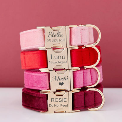 Image de Collier personnalisé avec nom de chien - Ensemble de colliers en velours multicolores personnalisés pour chien - Étiquette de nom d'animal de compagnie gravée avec boucle en métal - Cadeau de mariage et de Noël pour chiot