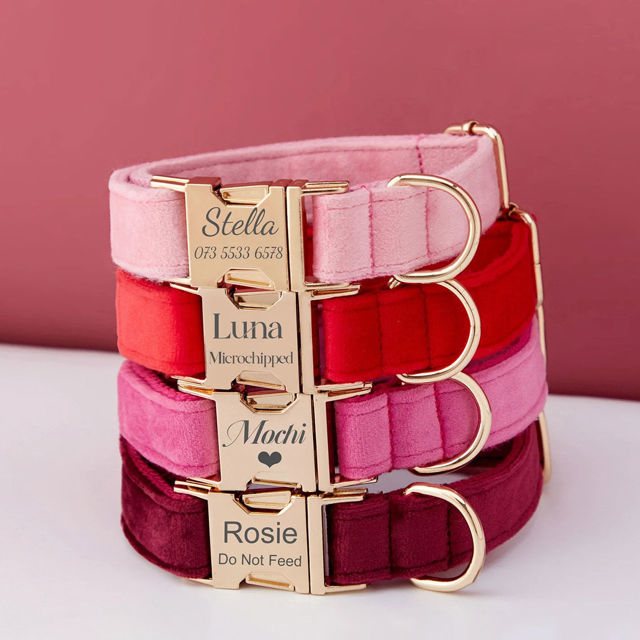 Image de Collier personnalisé avec nom de chien - Ensemble de colliers en velours multicolores personnalisés pour chien - Étiquette de nom d'animal de compagnie gravée avec boucle en métal - Cadeau de mariage et de Noël pour chiot