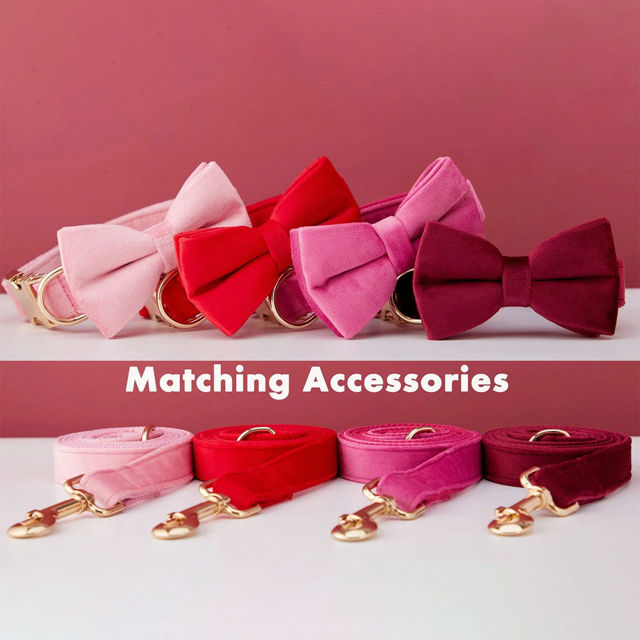 Image de Collier personnalisé avec nom de chien - Ensemble de colliers en velours multicolores personnalisés pour chien - Étiquette de nom d'animal de compagnie gravée avec boucle en métal - Cadeau de mariage et de Noël pour chiot