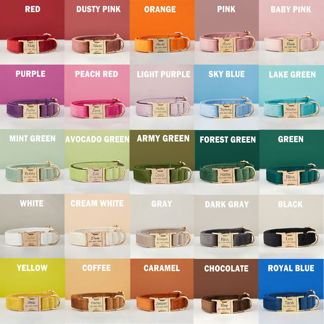 Picture of Personalized Multiple Color Velvet Dog Collar Leash Set - Engraved Pet Name Plate Metal Buckle - Wedding and Christmas Puppy Gift